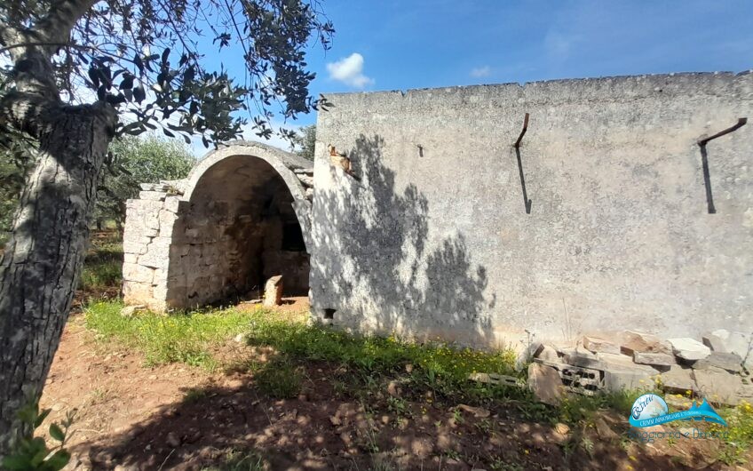 Trullo e lamia con terreno circostante Francavilla Fontana