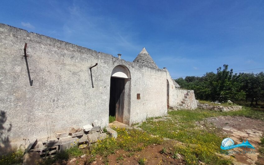 Trullo e lamia con terreno circostante Francavilla Fontana