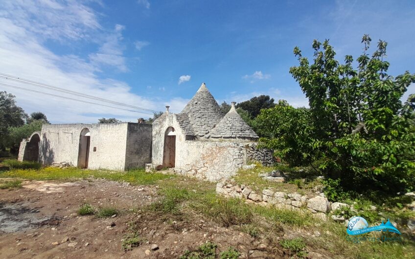 Trullo e lamia con terreno circostante Francavilla Fontana