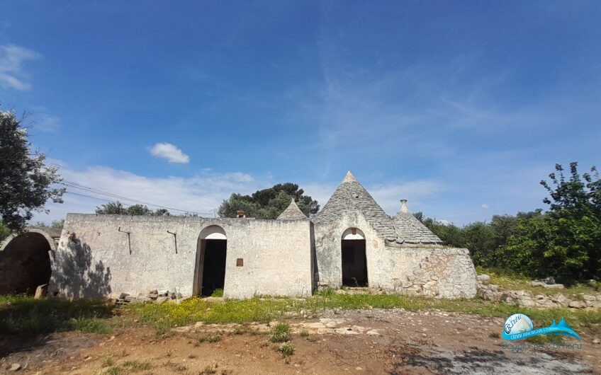 Trullo e lamia con terreno circostante Francavilla Fontana