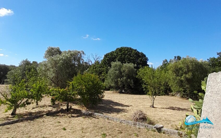 Bellissimo trullo con lamia in posizione panoramica immersa nella campagna della Valle d’Itria