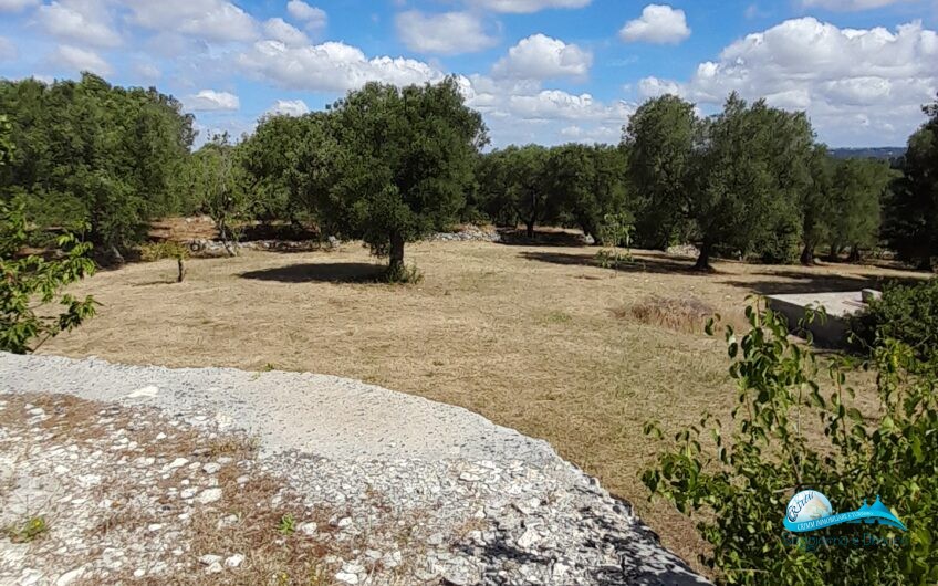 Bellissimo trullo con lamia in posizione panoramica immersa nella campagna della Valle d’Itria