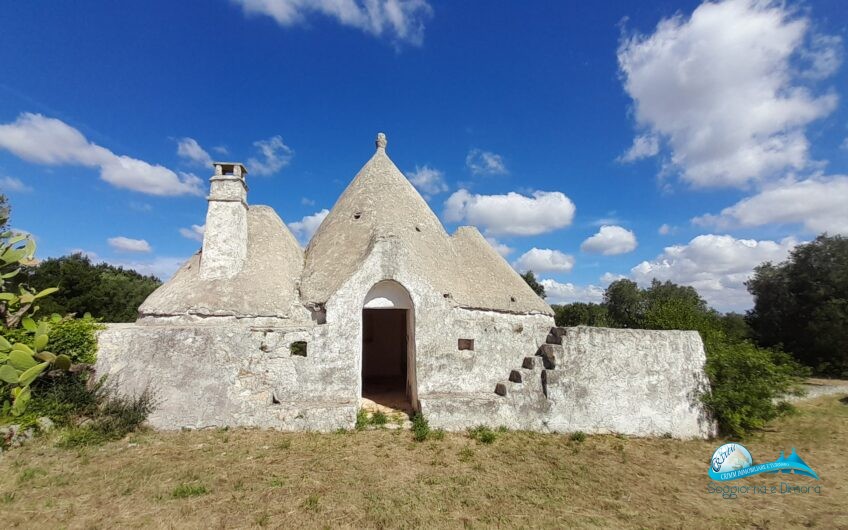 Bellissimo trullo con lamia in posizione panoramica immersa nella campagna della Valle d’Itria